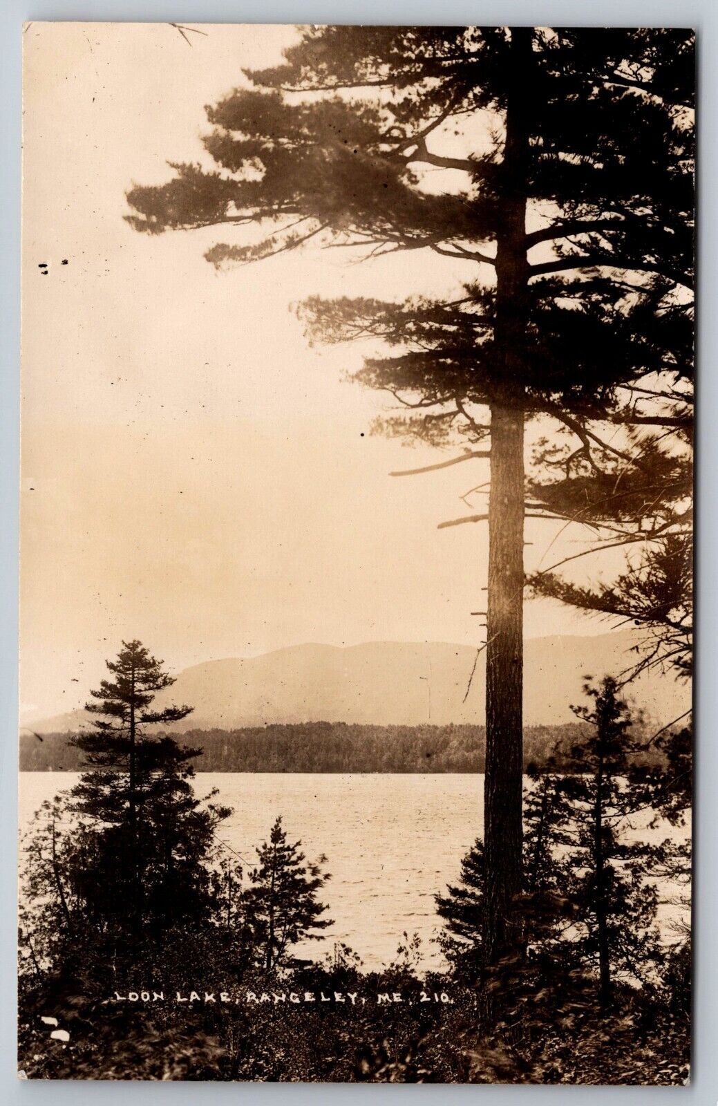 Loon Lake. Rangeley Maine Real Photo Postcard. RPPC