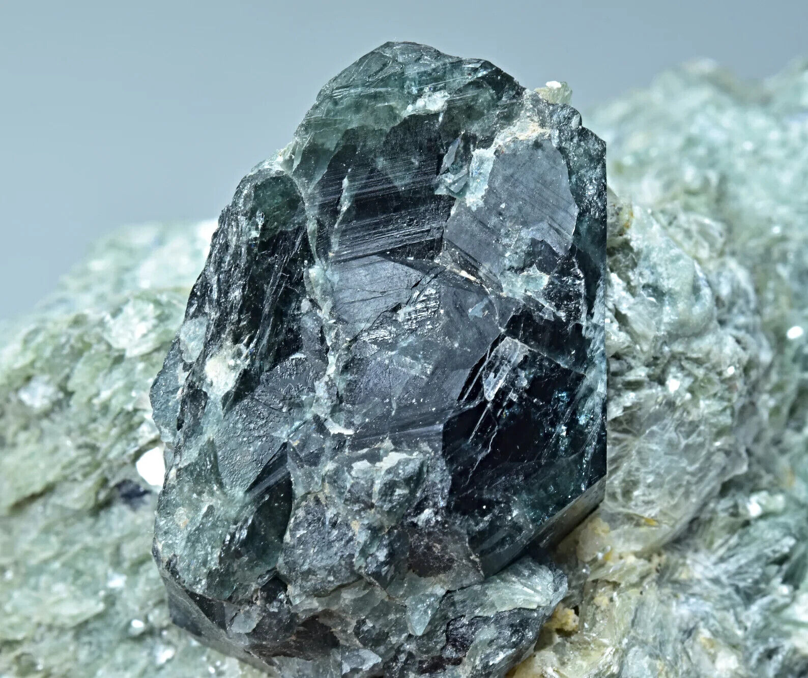 Unique Dravite Tourmaline Crystal Specimen with Sapphire On Mica Matrix 292 Gram