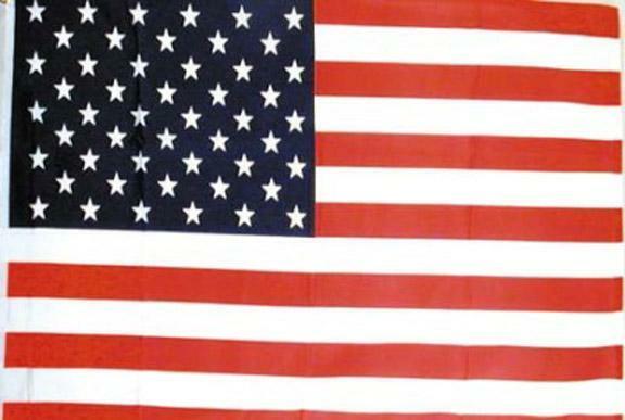 8 AMERICAN FLAGS 3X5 usa 3 x 5 america patriotic united new wholesale FL001 