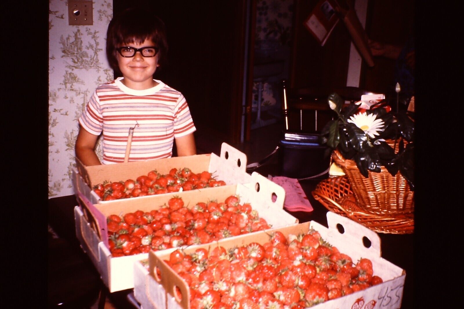 1974 CHILD WITH BOXES OF STRAWBERRYS 1970\'s Vintage 35mm Slide OPL16