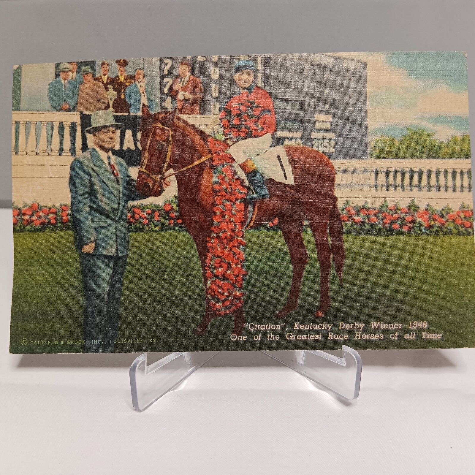VTG Calumet Farm Citation Postcard Horse Racing Derby C. T. Art-Colortone