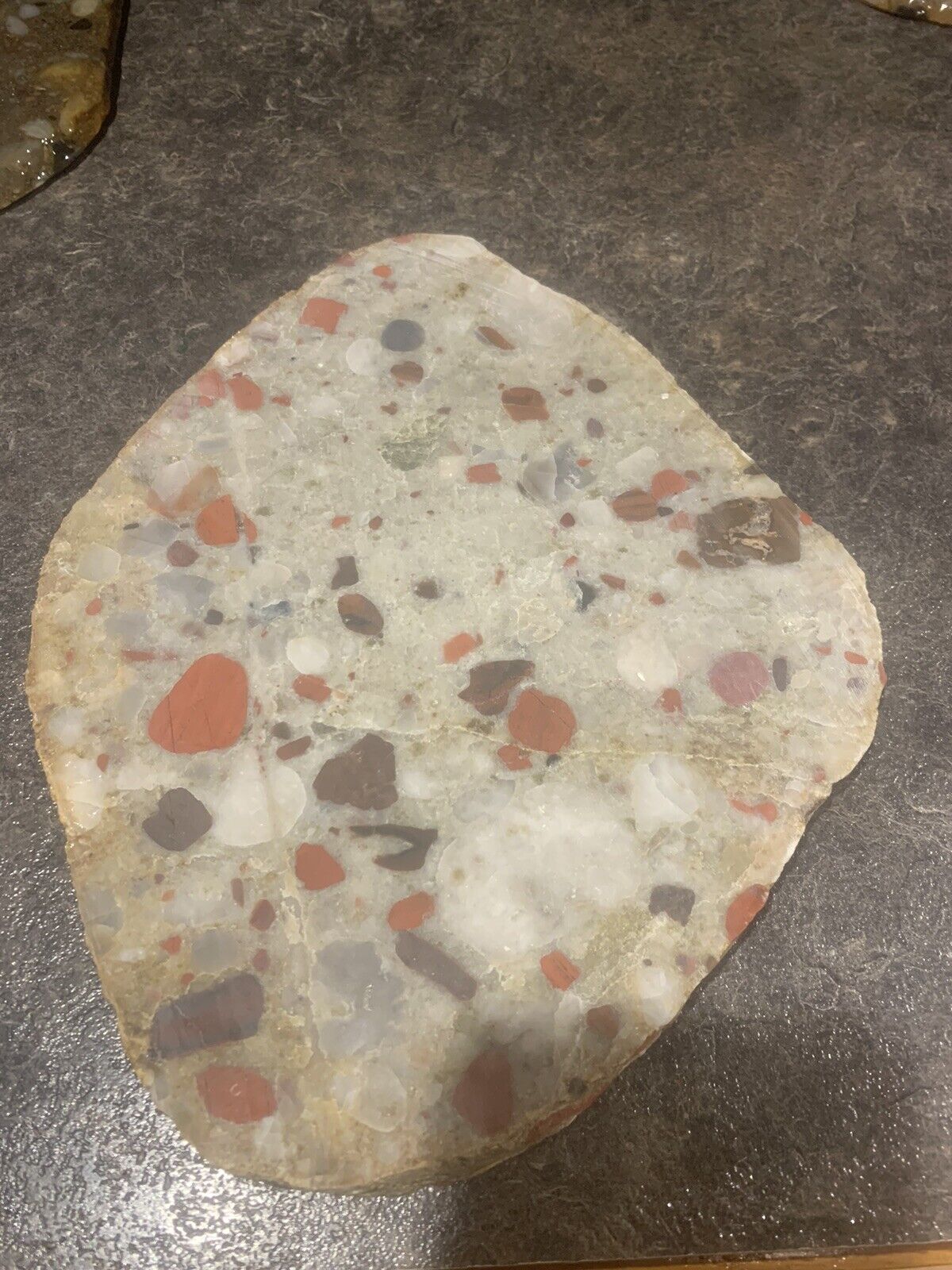 Raw Lake Huron Pudding Stone Big Slab