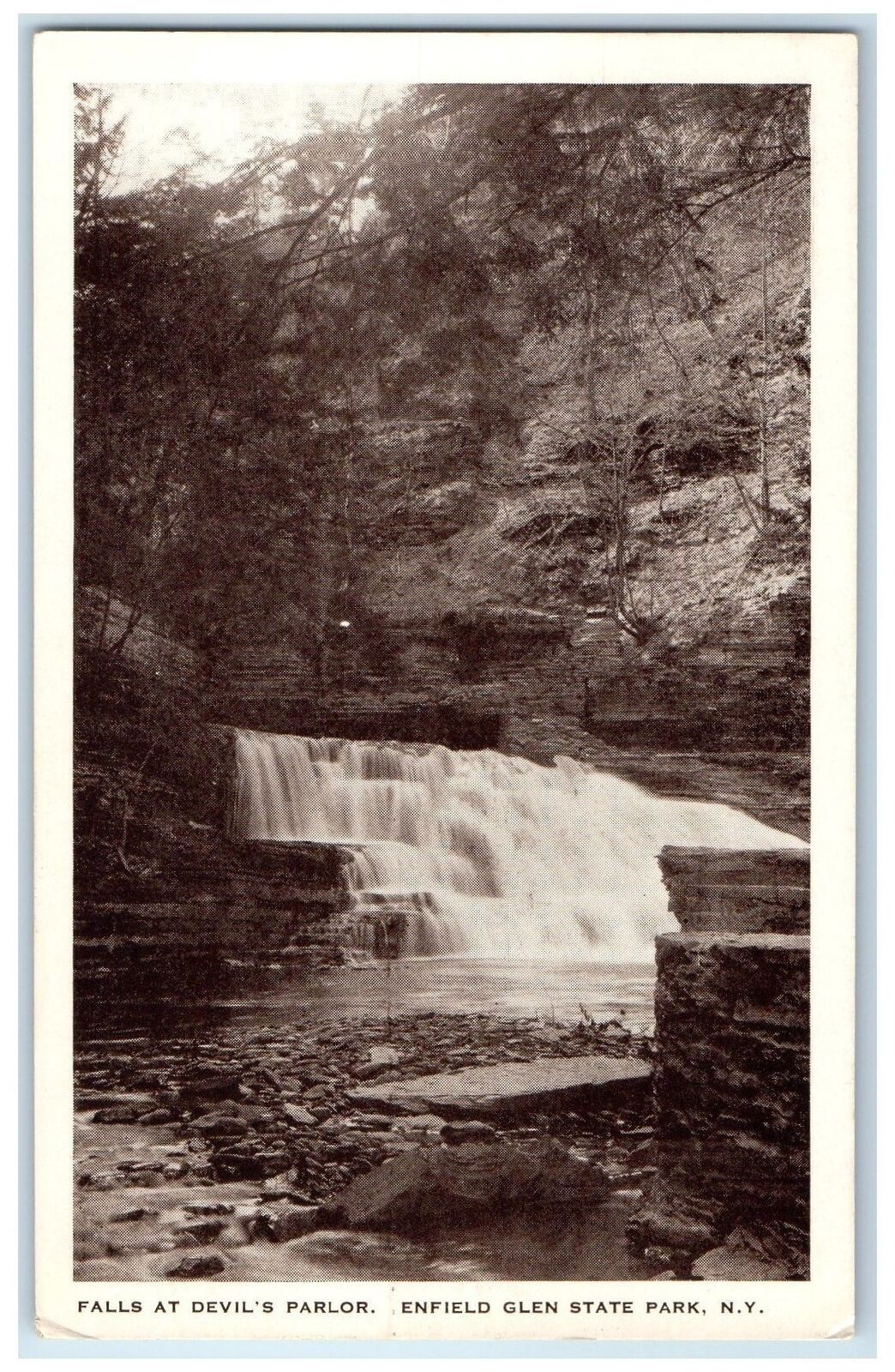 c1920s Falls At Devil\'s Parlor Enfield Glen State Park New York NY Tree Postcard