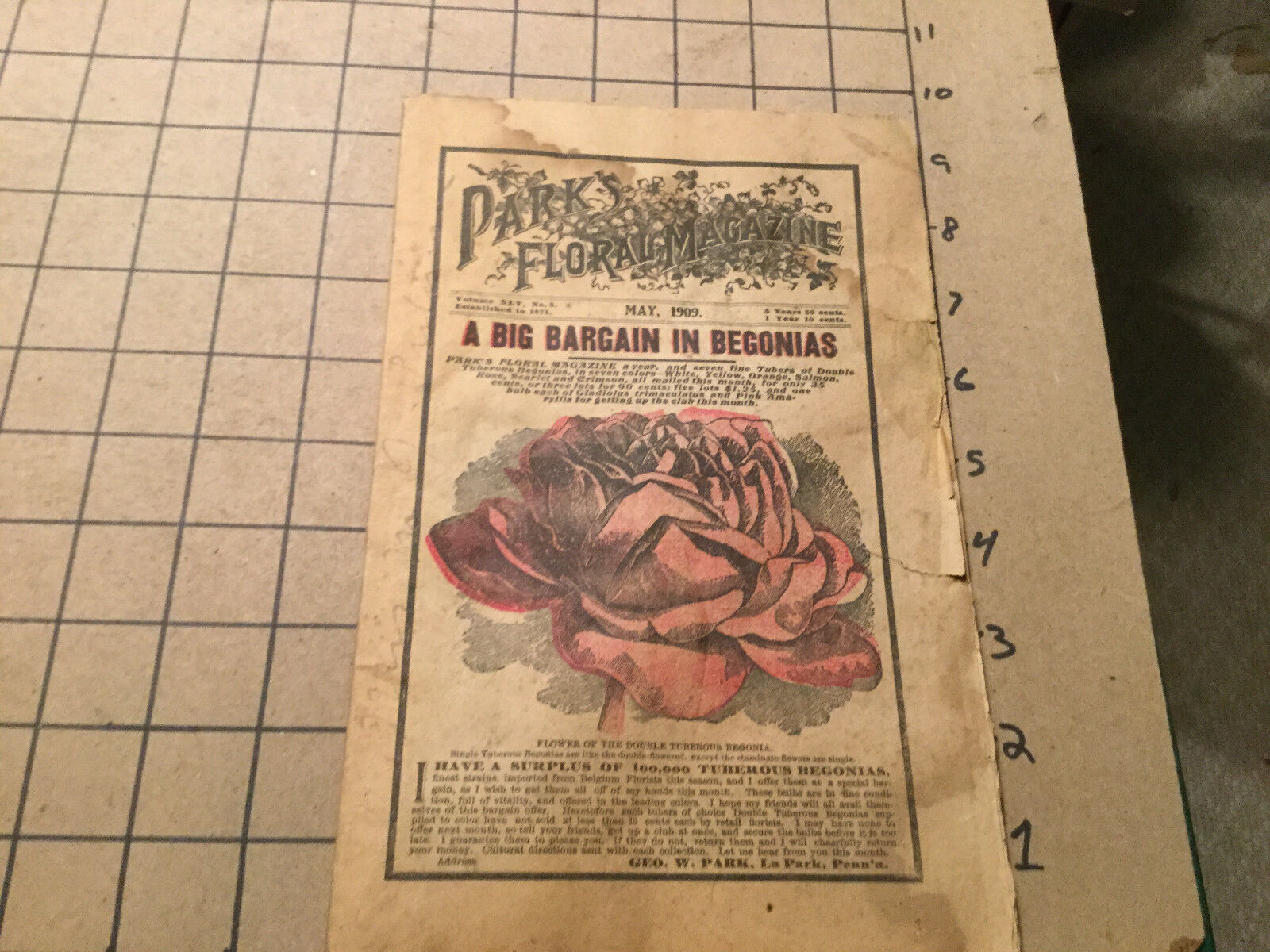 Vintage Original PARKS FLORAL MAGAZINE - MAY 1909 - Wear as shown