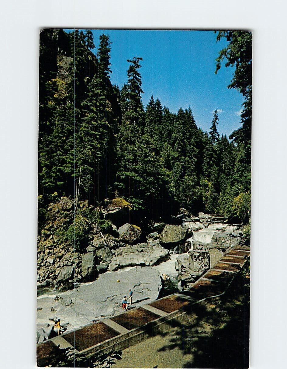Postcard Granite Falls Fish Ladder Washington USA
