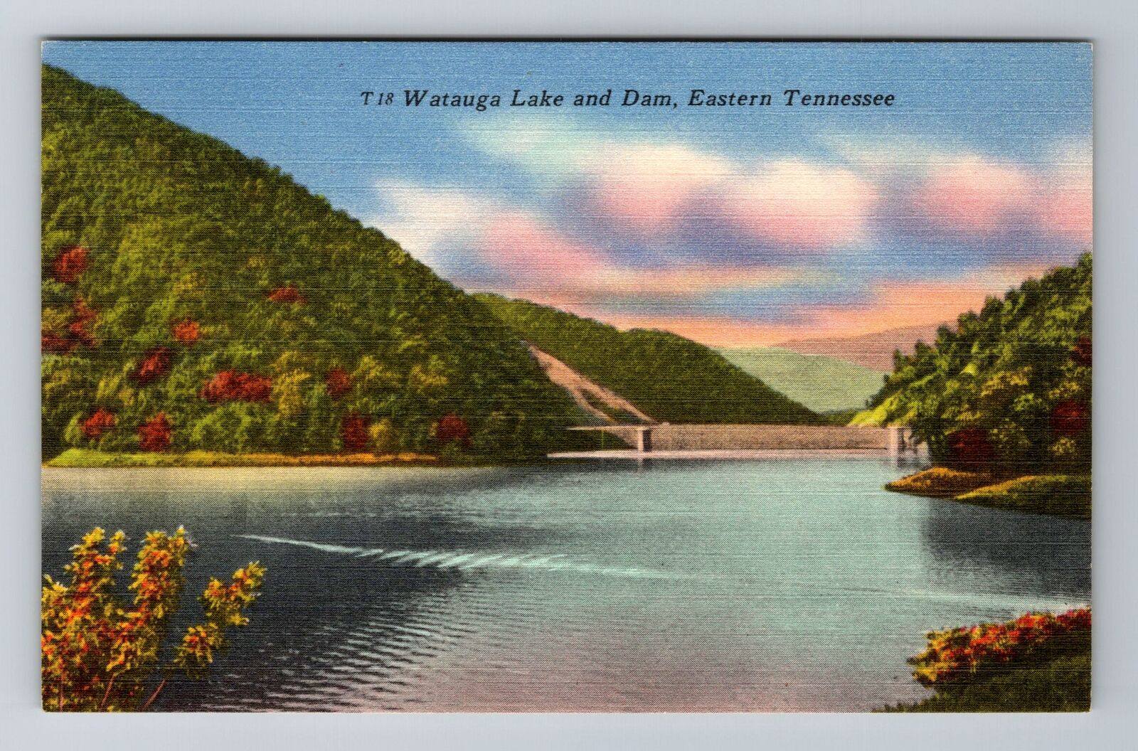 TN-Tennessee, Watauga Lake And Dam, Antique, Vintage Souvenir Postcard