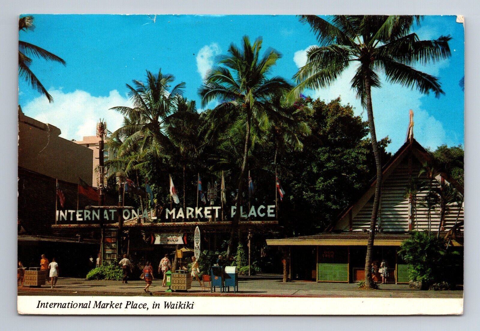International Market Place Waikiki Honolulu Hawaii Continental Postcard