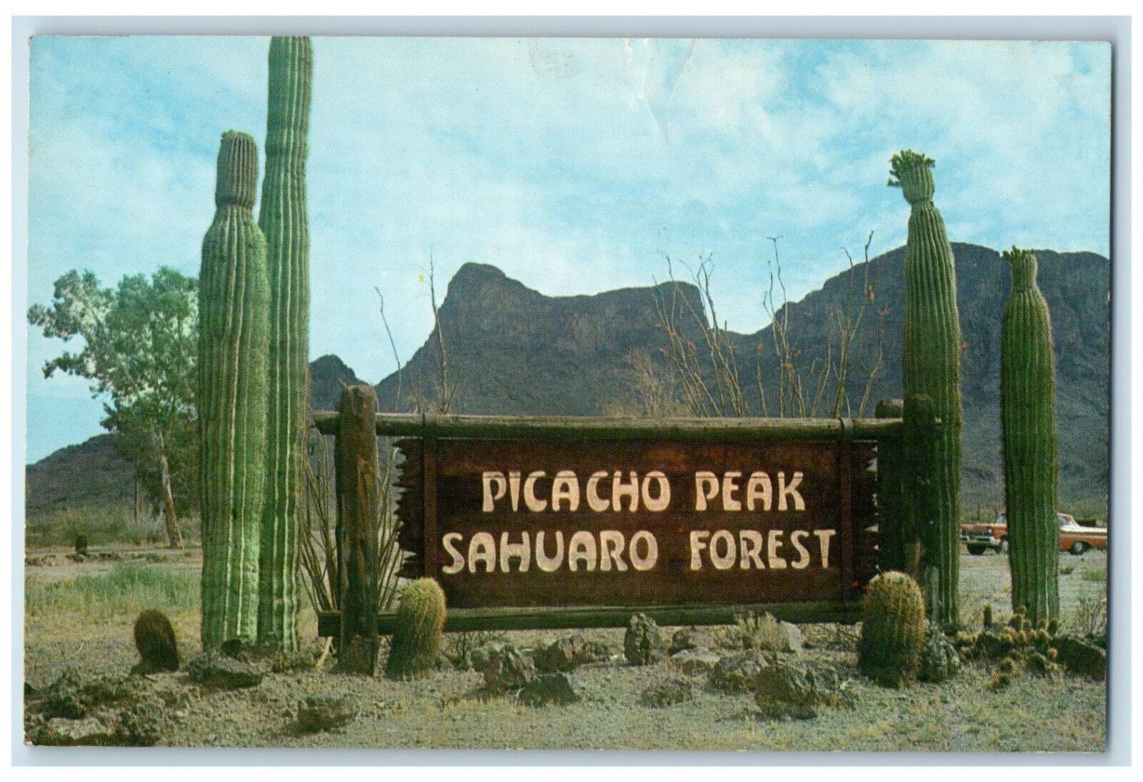 c1960\'s Picacho Peak Sahuaro Forest, Picacho Peak Arizona AZ Postcard