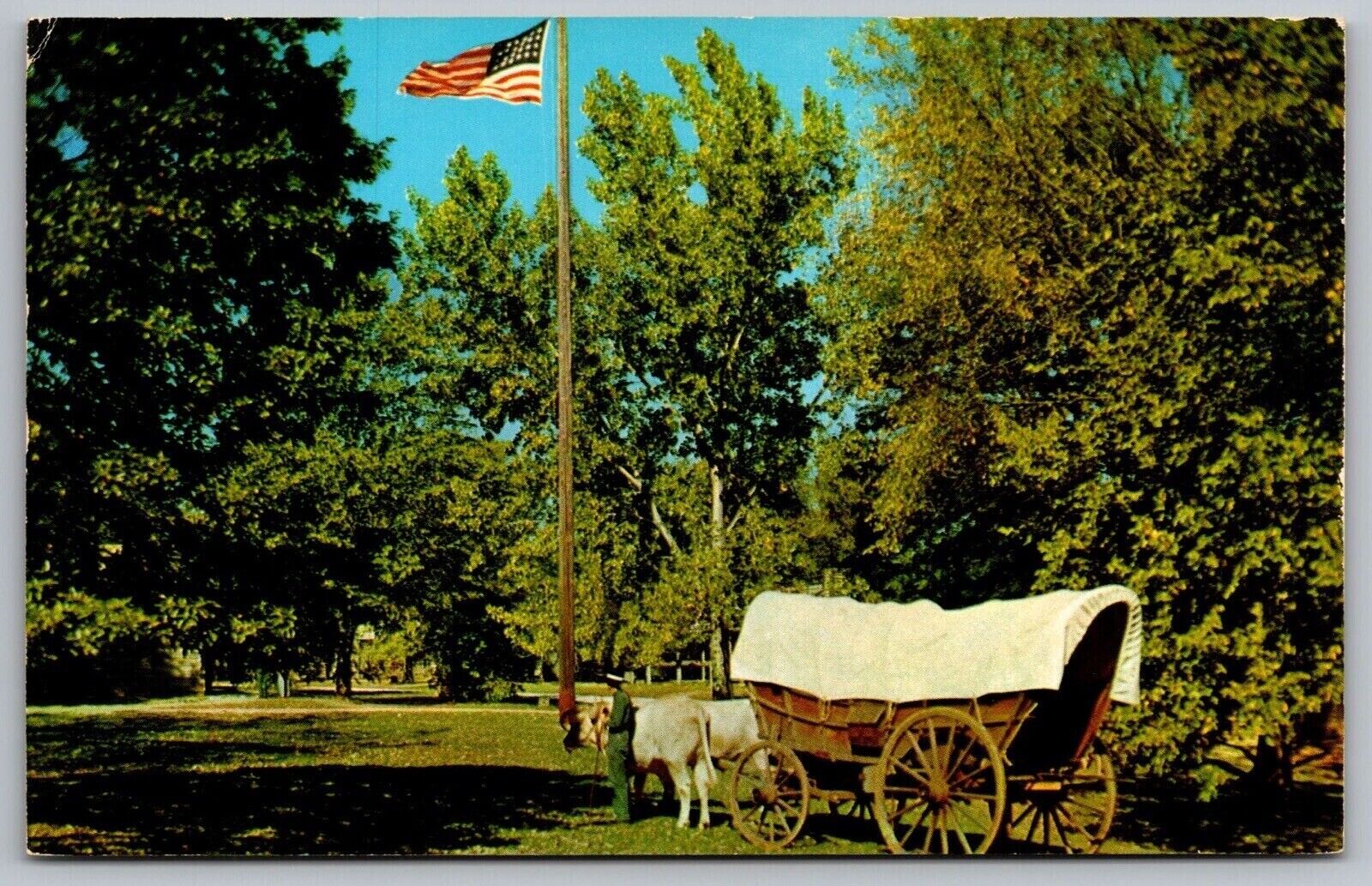 Ox Team Historic Conestoga Wagon New Salem State Park Illinois Flag VTG Postcard