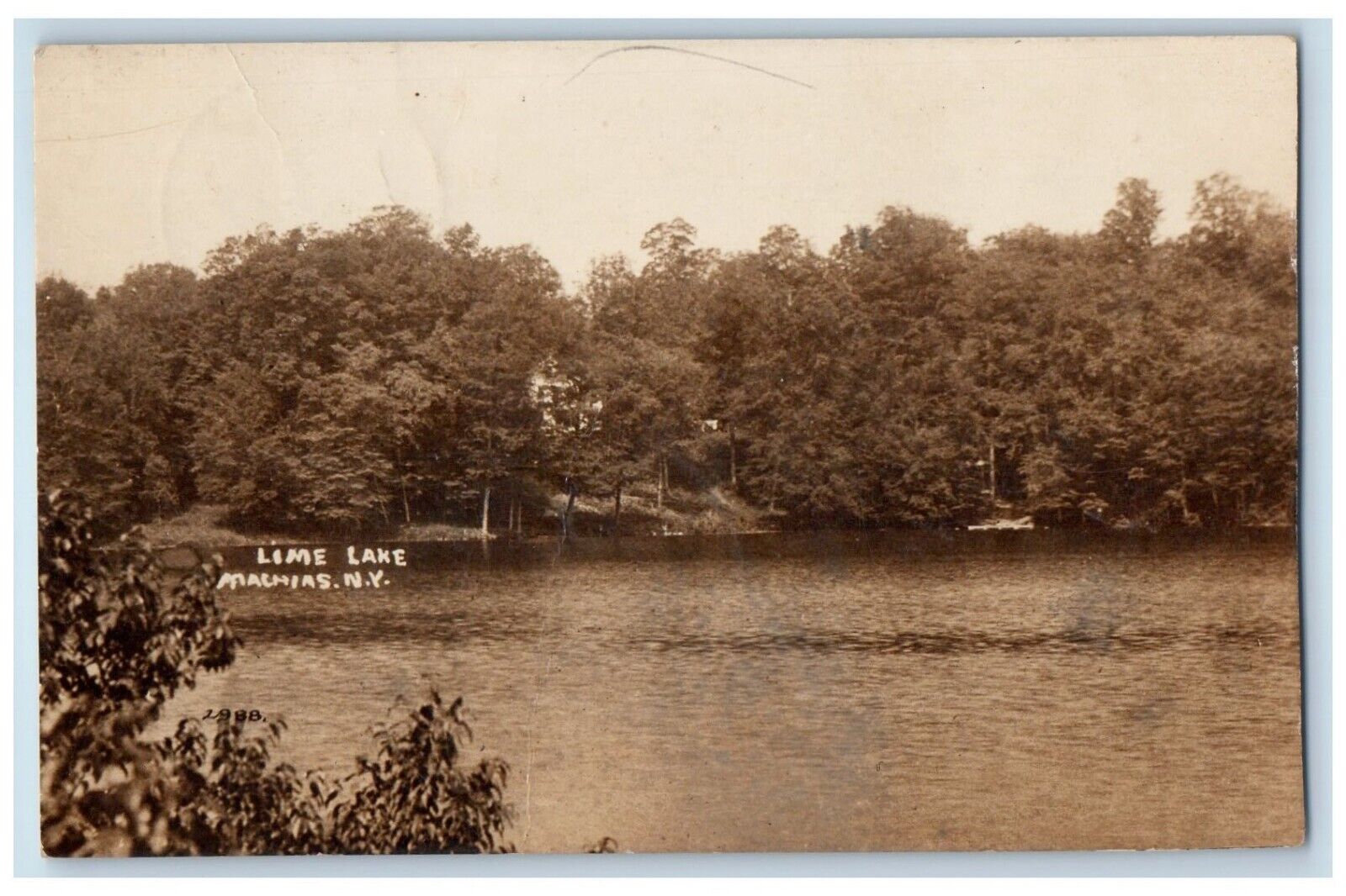 1919 View Of Lime Lake Machias Cattaraugus New York NY RPPC Photo Postcard