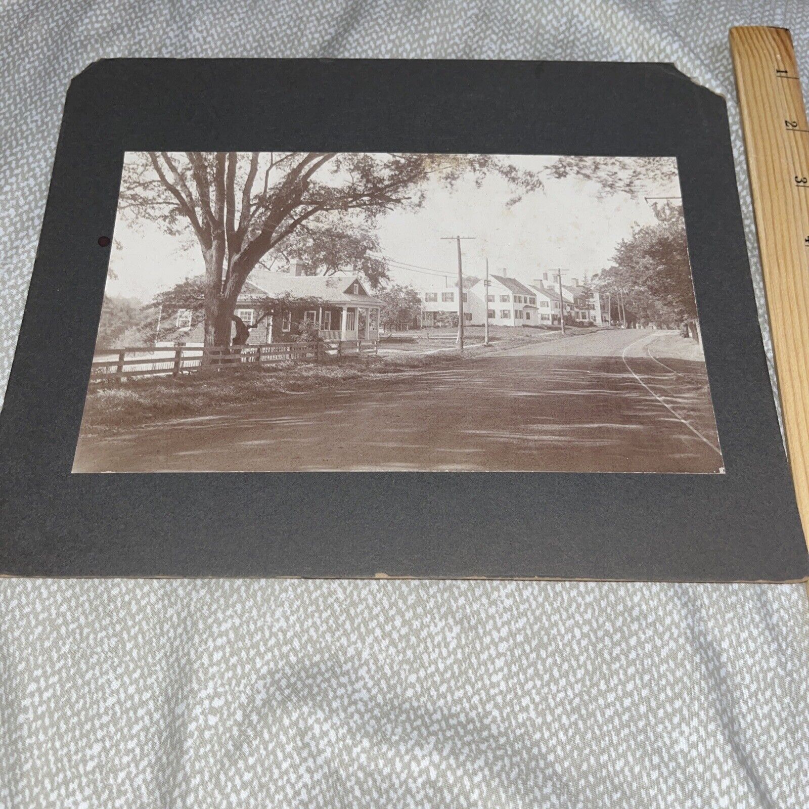 Large Antique Mounted Photo: Newbury MA Trolley Line Tracks - Maybe High St?