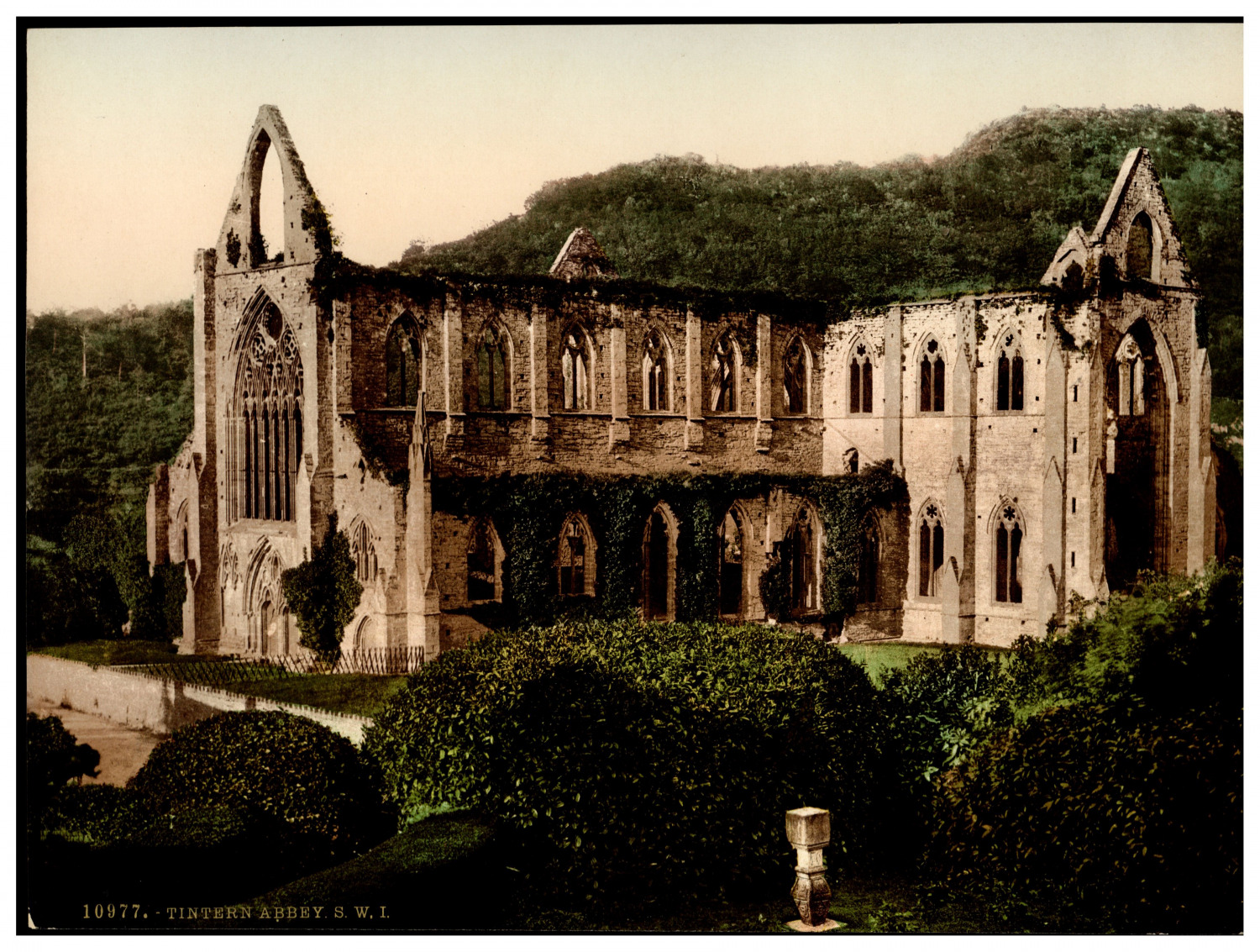 Wales. Monmouth. Tintern. Abbey S.W. I. Vintage Photochrome by P.Z, Ph