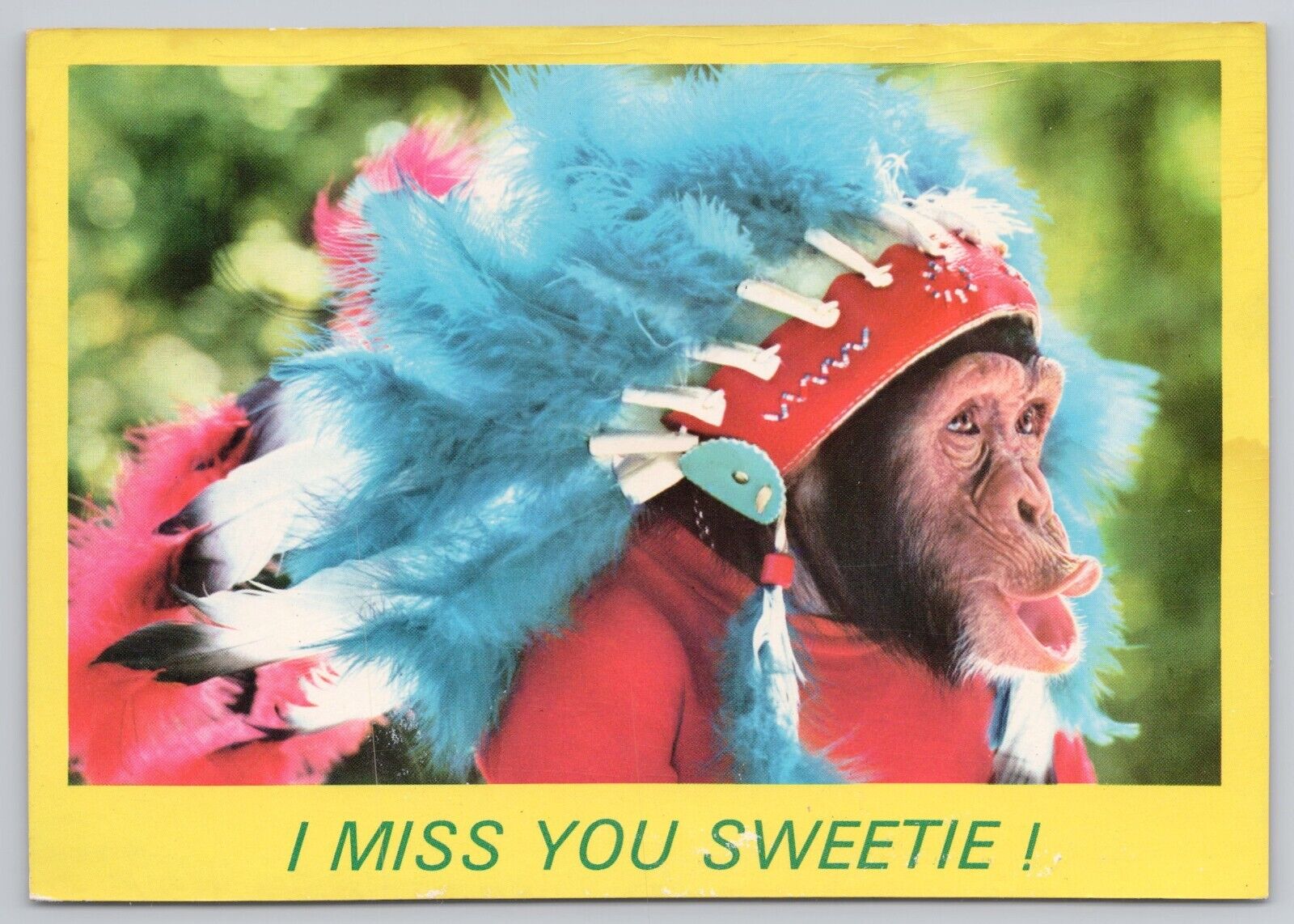 Greetings from Florida, Cute Monkey Wearing Indian Feathers, Vintage Postcard