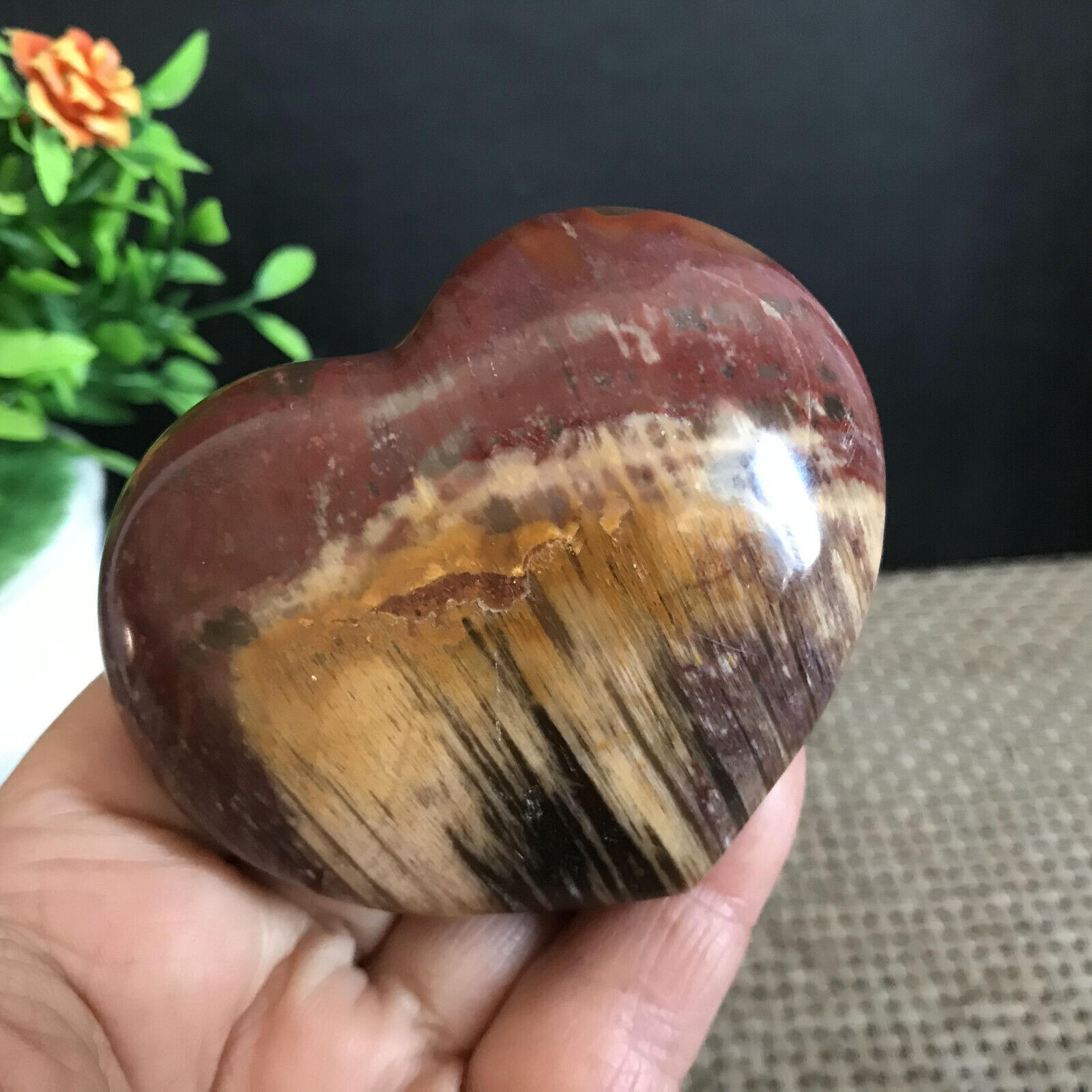 194g NATURAL PRETTY Petrified Wood   Crystal HEART Healing mh1856