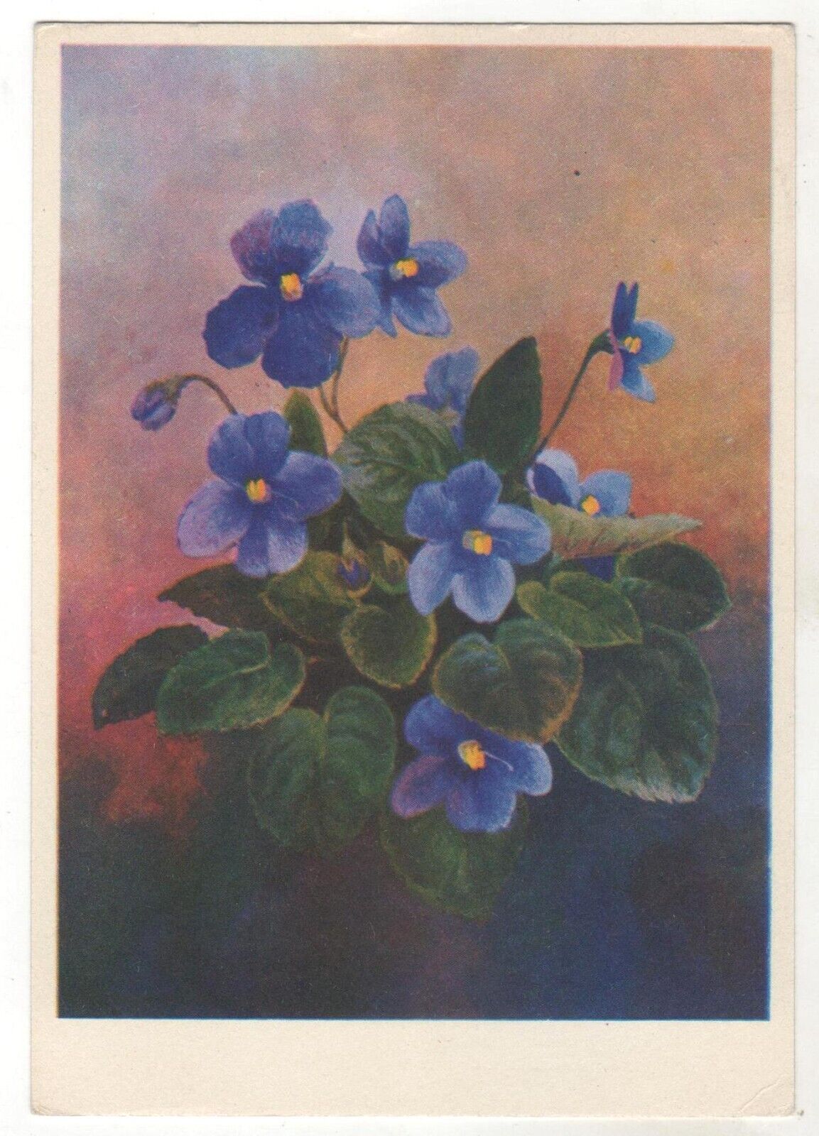 1974 VIOLETS Violet Viola Flowers ART Soviet Russian postcard Old Vintage