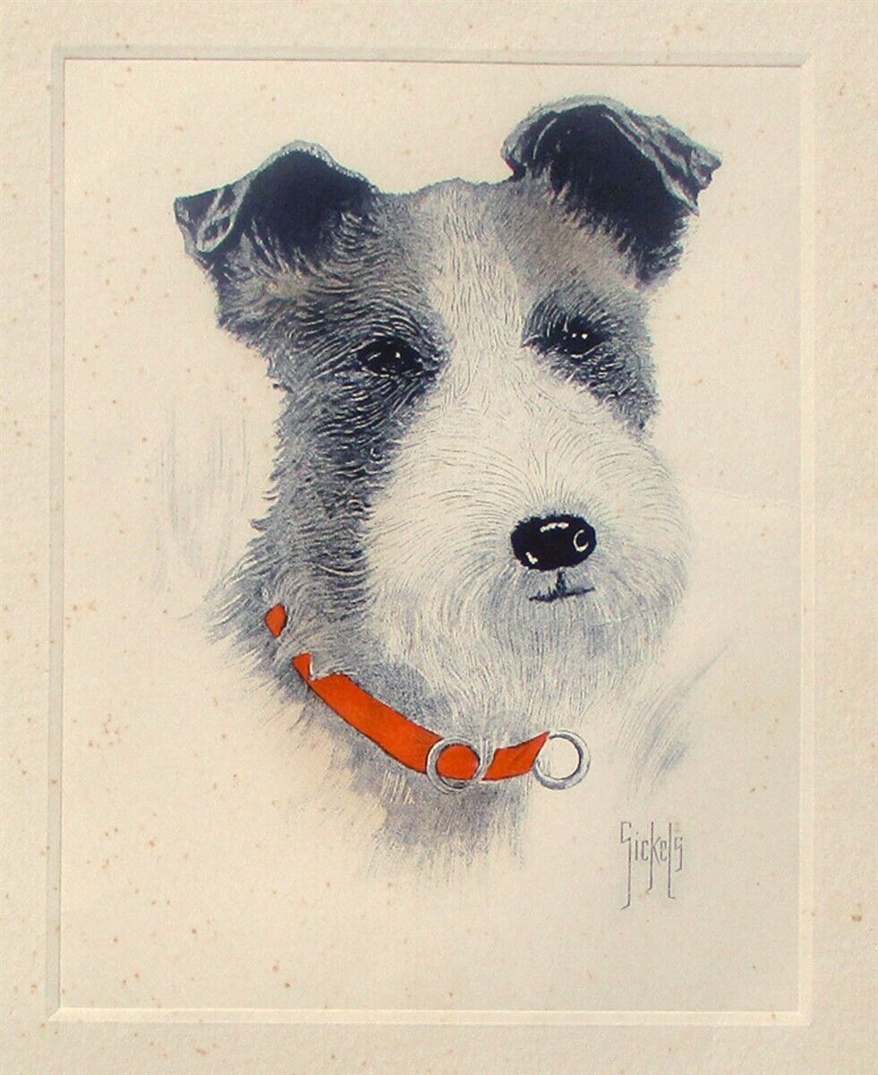 FOX TERRIER Etching Signed SICKELS Hand Tinted Dog Print Vintage
