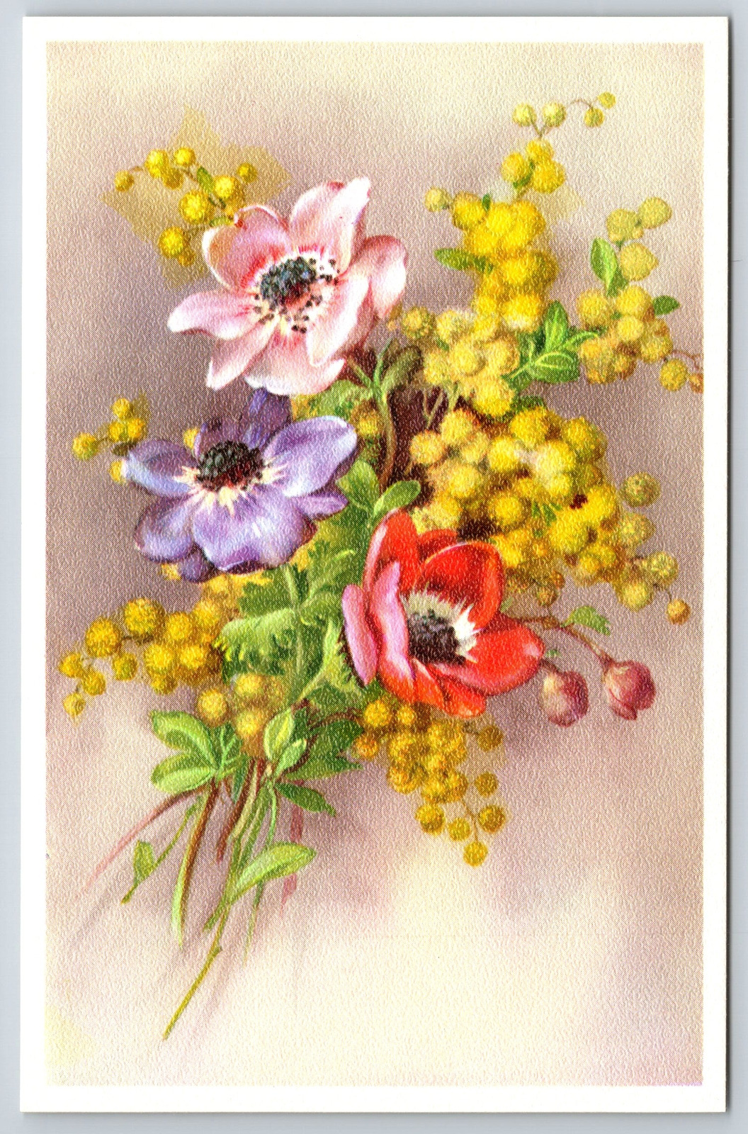 Flowers~Anemones~Alfred Mainzer Belgium Vintage Postcard