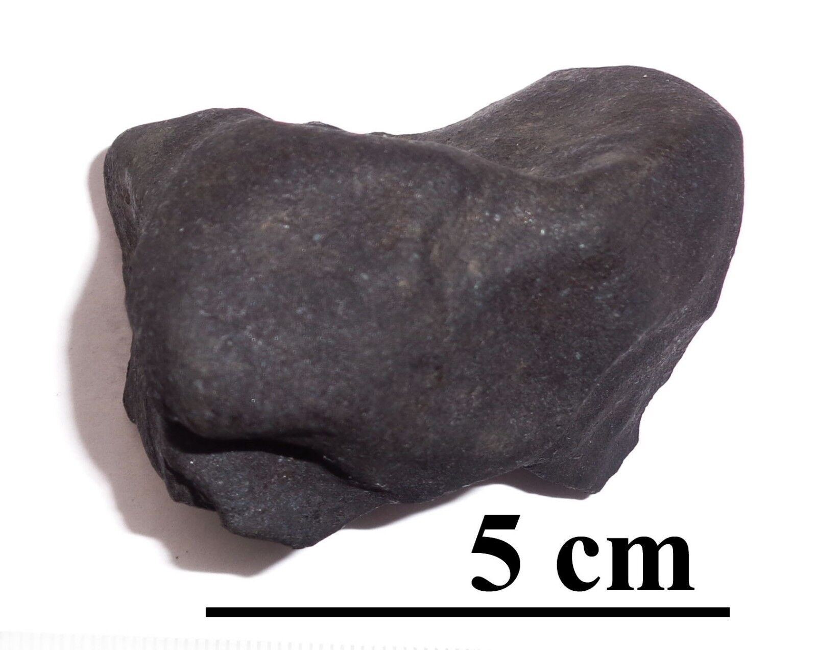 NEWEST OZERKI meteorite L6, fall June 21, 2018, Russia, individual 127 grams