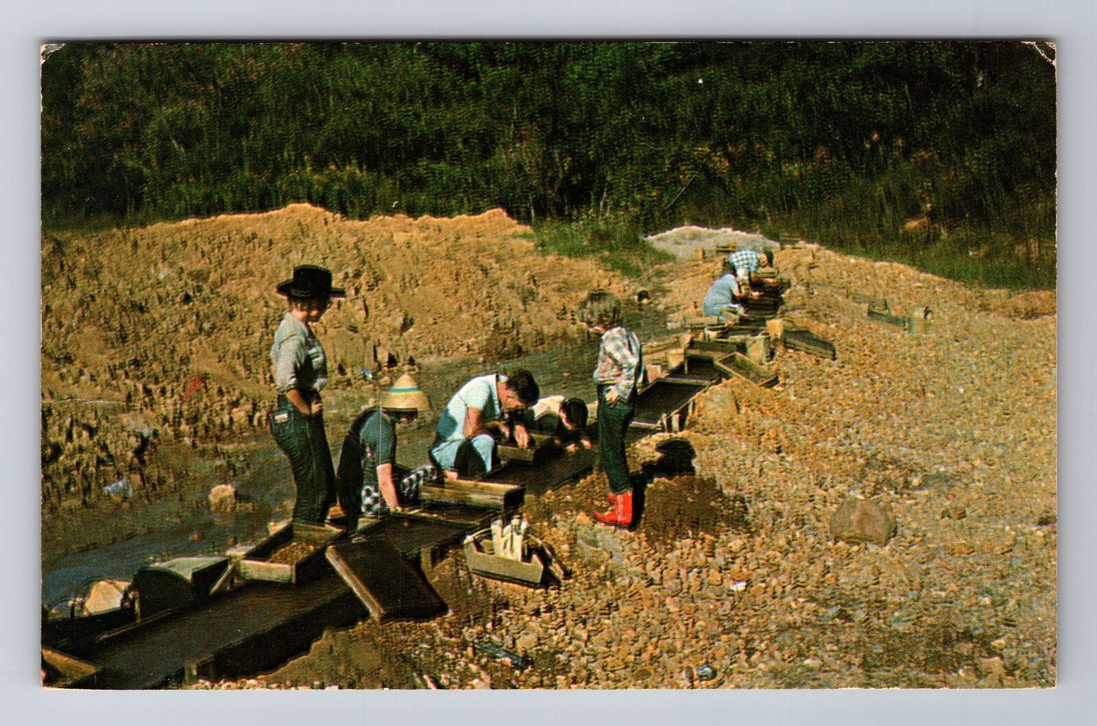 Franklin NC-North Carolina, Panning For Rubies And Minerals, Vintage Postcard