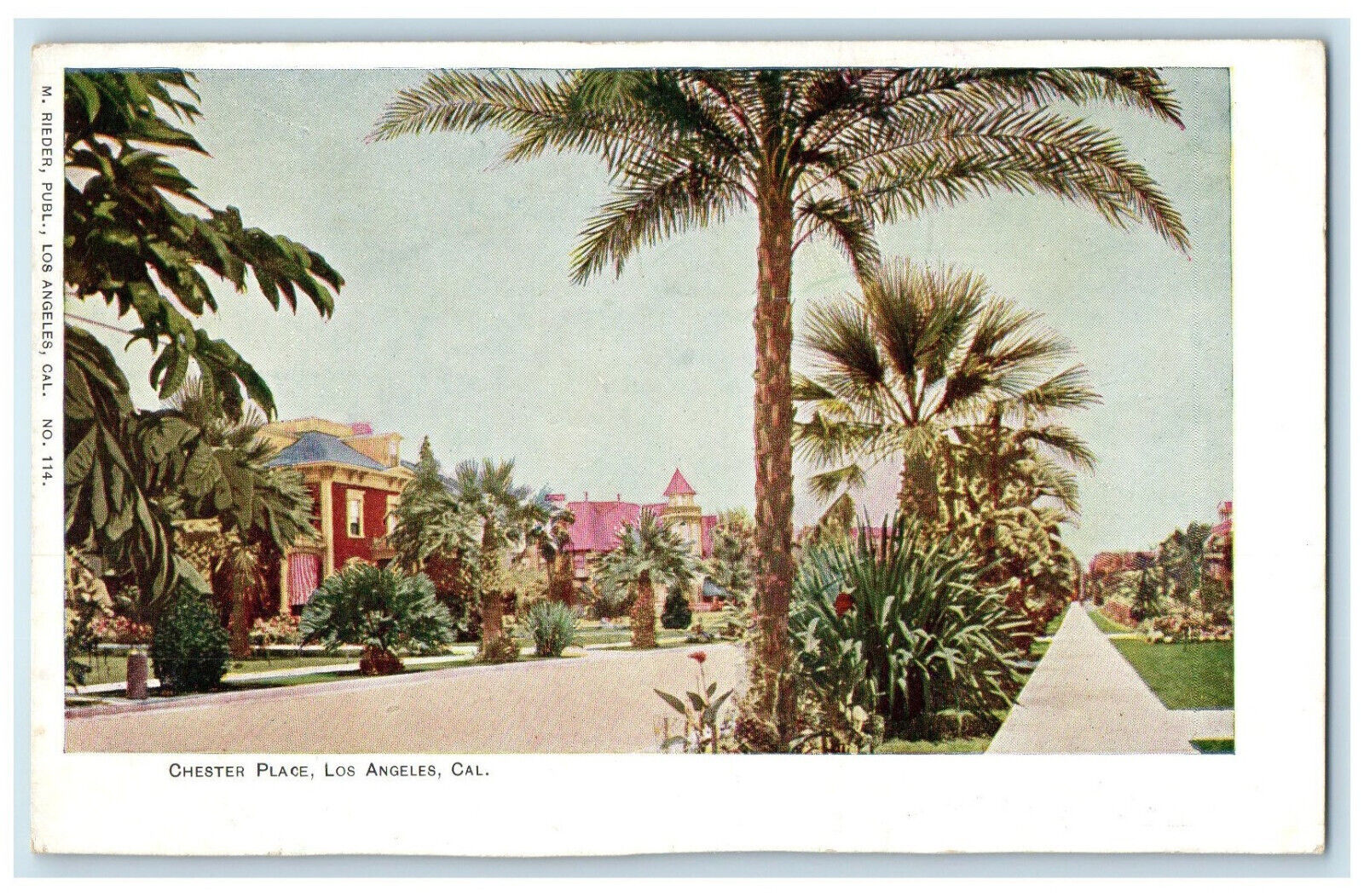c1905 Chester Place Los Angeles California CA Unposted Antique Postcard