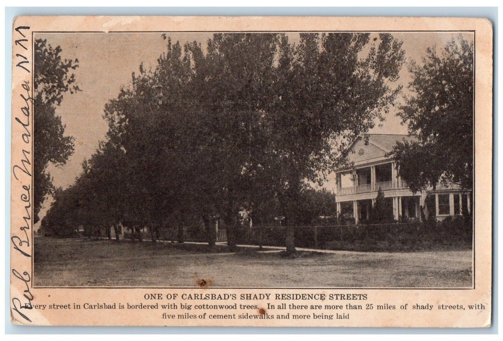 1911 One Of Carlsbad's Shady Residence Streets Advertising Malaga NM Postcard