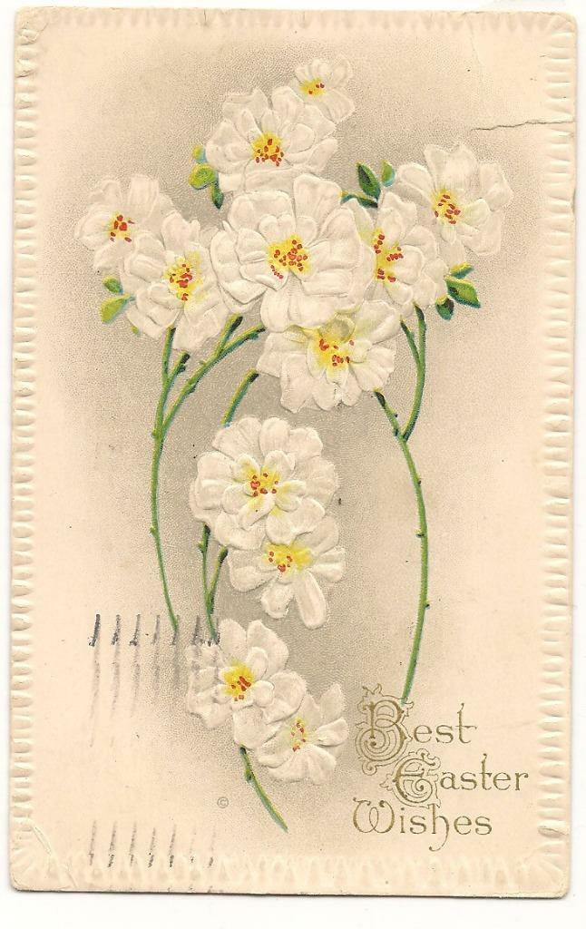 Vintage 1924 Easter PC; Best Easter Wishes; White Flowers