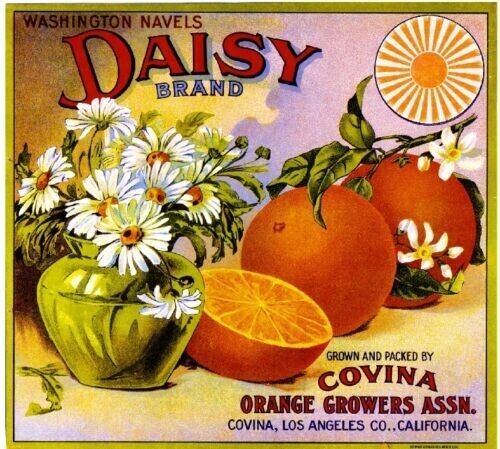 Daisy Brand Covina Los Angeles Ca Citrus Fruit Orange Crate Label Art Print