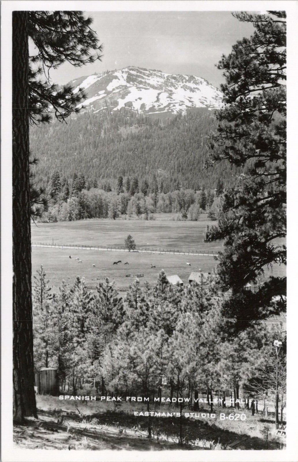 RPPC Meadow Valley California View of Horse Ranch at Spanish Peak 1950s