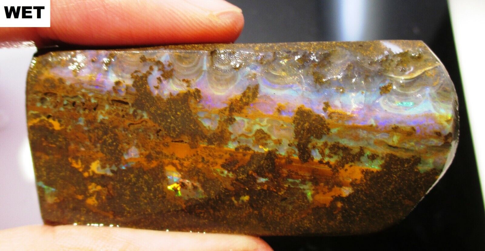 54 gram boulder opal rough - Australia specimen 