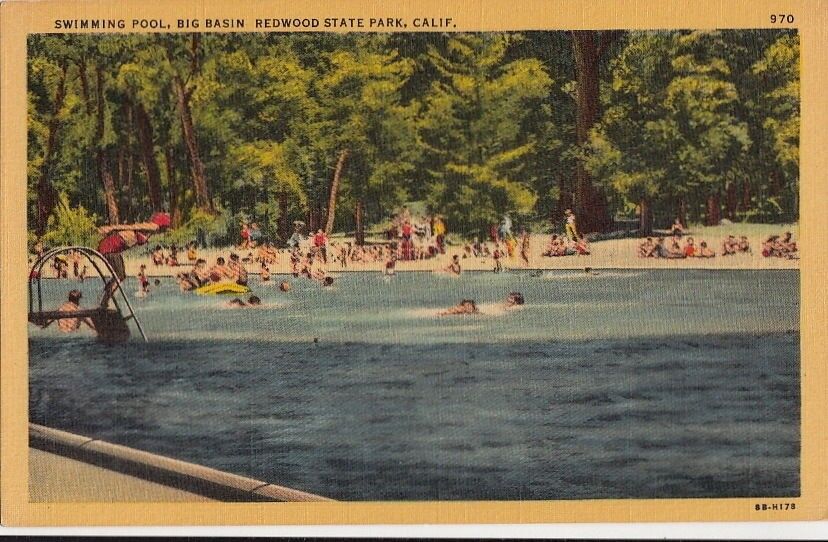 Postcard Swimming Pool Big Basin Redwood State Park CA