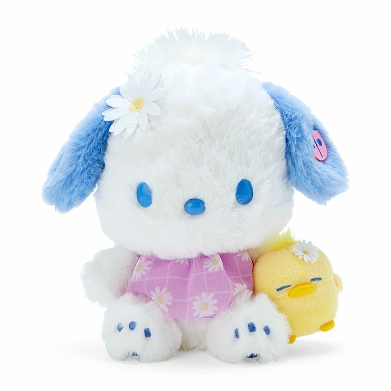 Sanrio Character Pochacco Stuffed Toy ( Daisy ) Friends Plush Doll New Japan