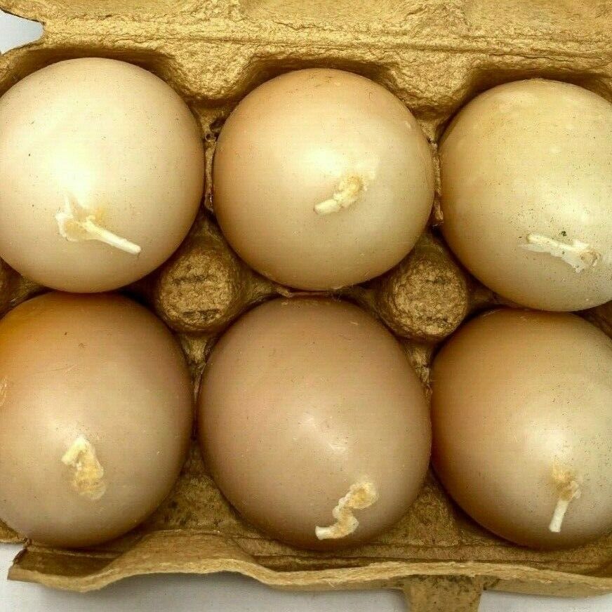 Vintage Set of (6) Faroy Egg Candles In Original Box Fresh Selected Large
