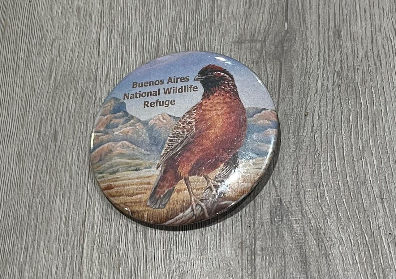 Vintage BUENOS AIRES NATIONAL WILDLIFE REFUGE Pinback Button Bird Souvenir RARE