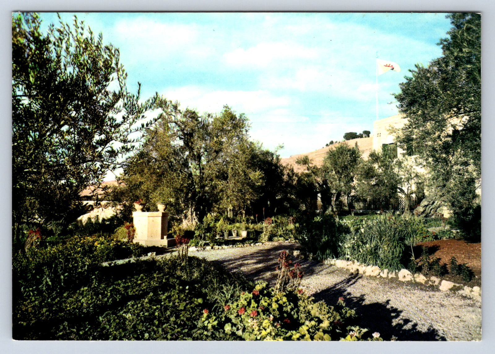 Vintage Postcard Garden of Gethsemani Jerusalem Jordan