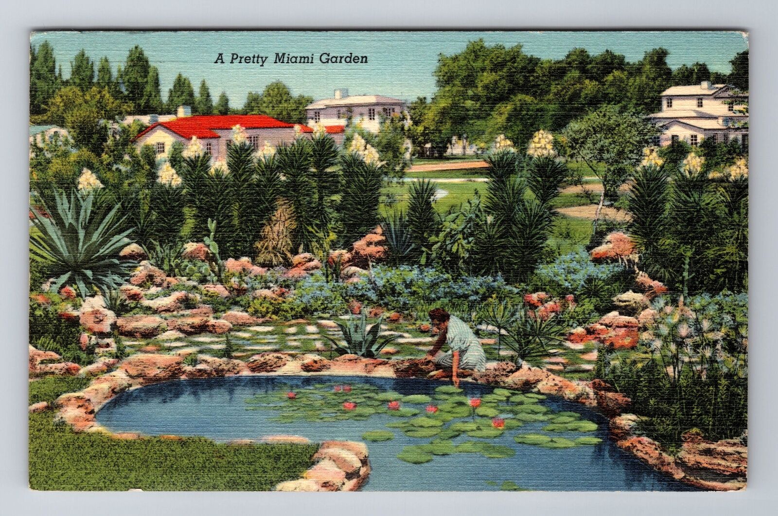 Miami FL-Florida, Pretty Garden, Antique, Vintage c1942 Souvenir Postcard