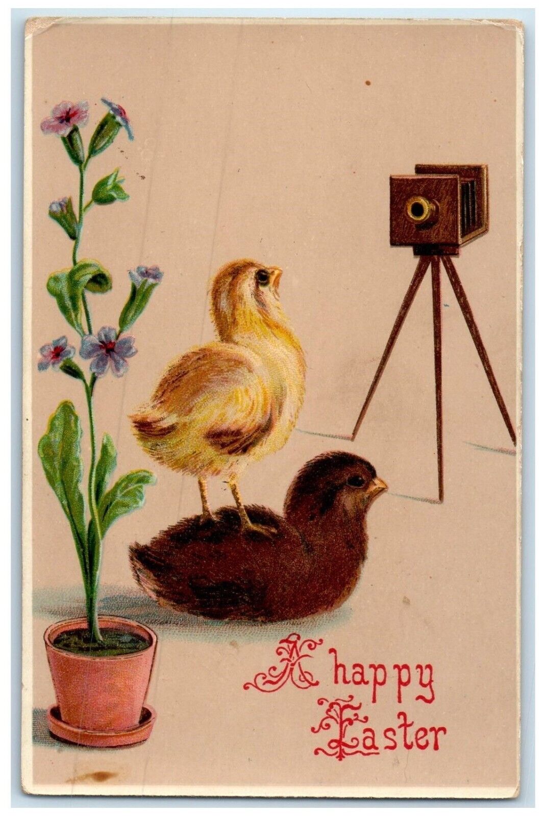 c1910's Easter Chicks Camera Flowers Pot Gel Posted Antique Postcard