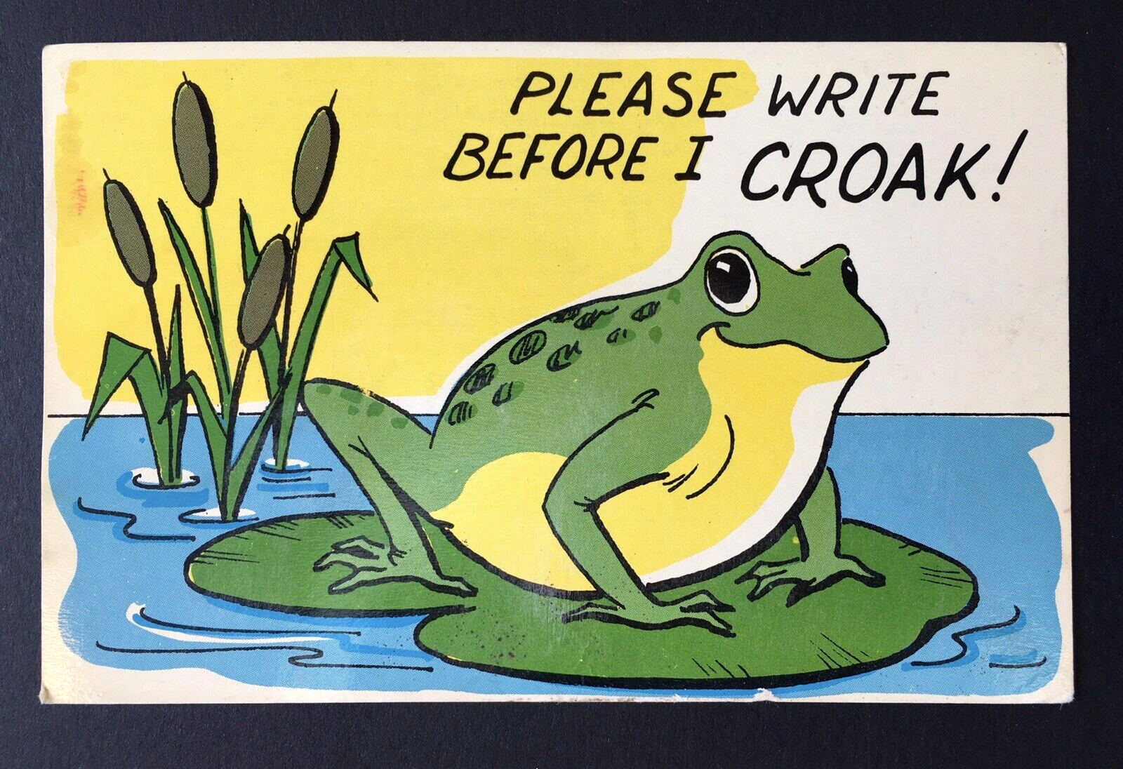 Please Write Before I Croak, Cute Frog Lily Pad & Bullrushes, Vintage Postcard