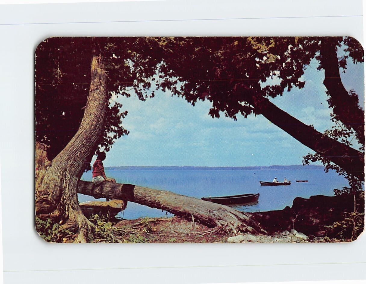 Postcard Summer at the Lake of the Woods Baudette Minnesota USA