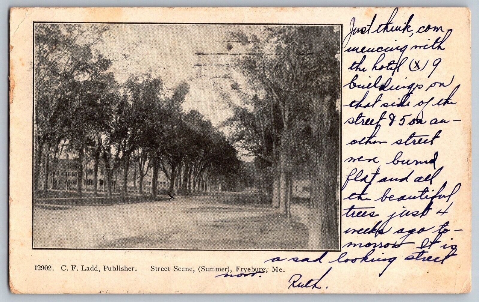 Fryeburg, Maine ME - Summer Streets Scene - Trees & Roads - Vintage Postcard