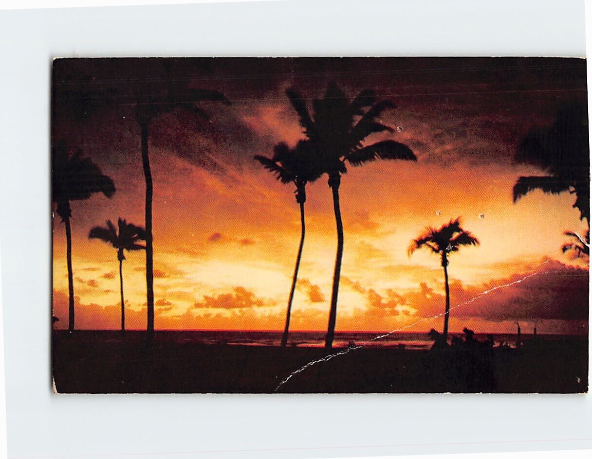 Postcard Tropical Sunrise Florida USA