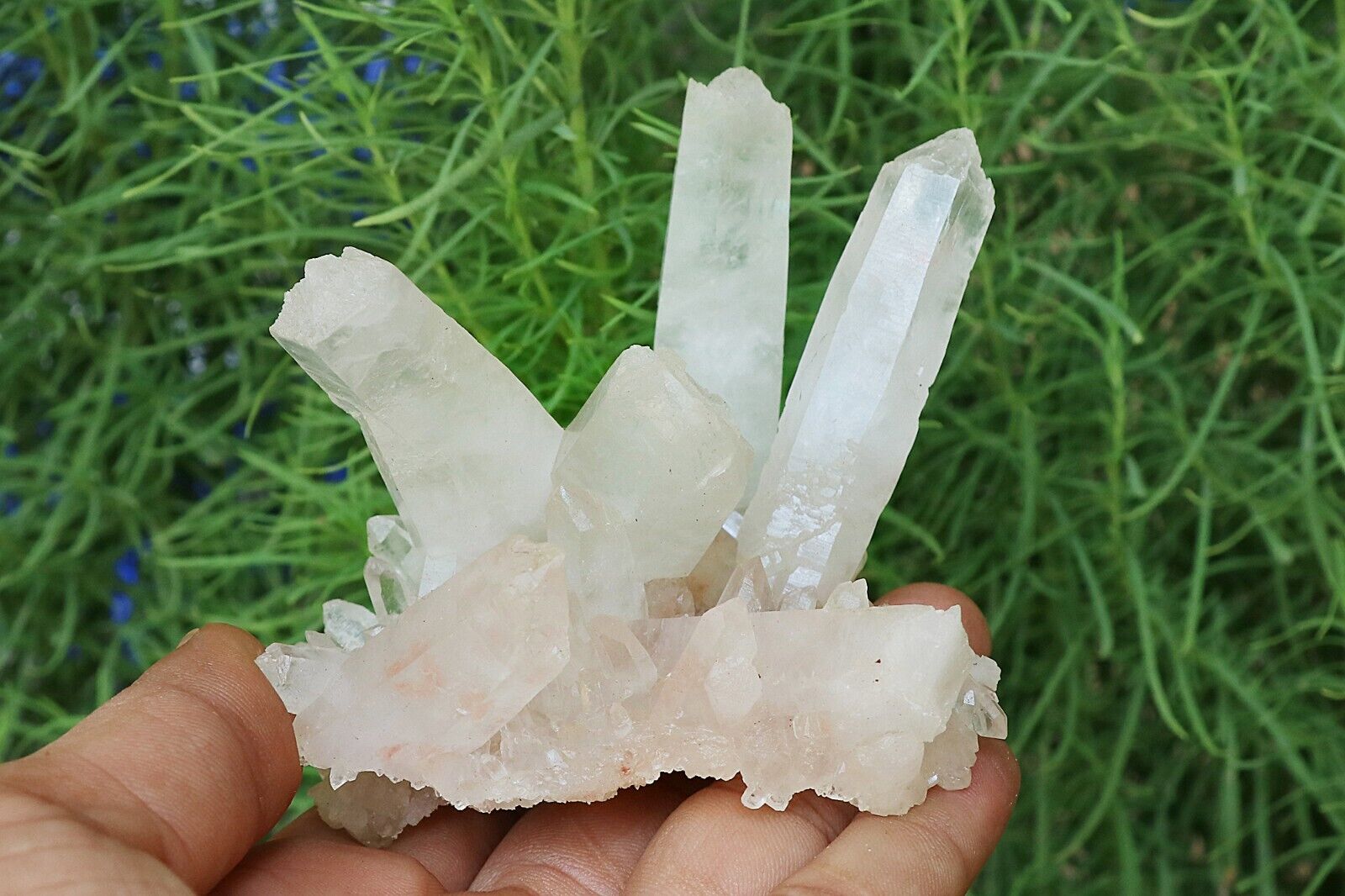 clear milky white Himalayan White Samadhi Quartz Crystal 235 gram rough specimen