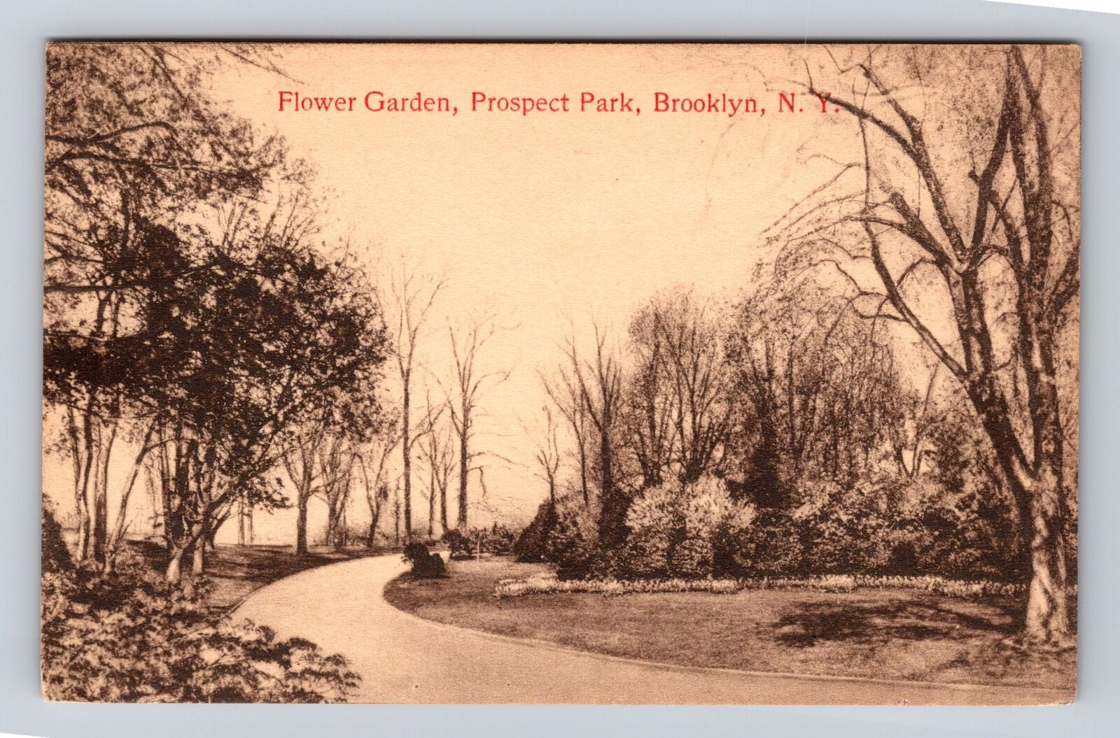 Brooklyn NY-New York, Flower Garden, Prospect Park, Antique, Vintage Postcard