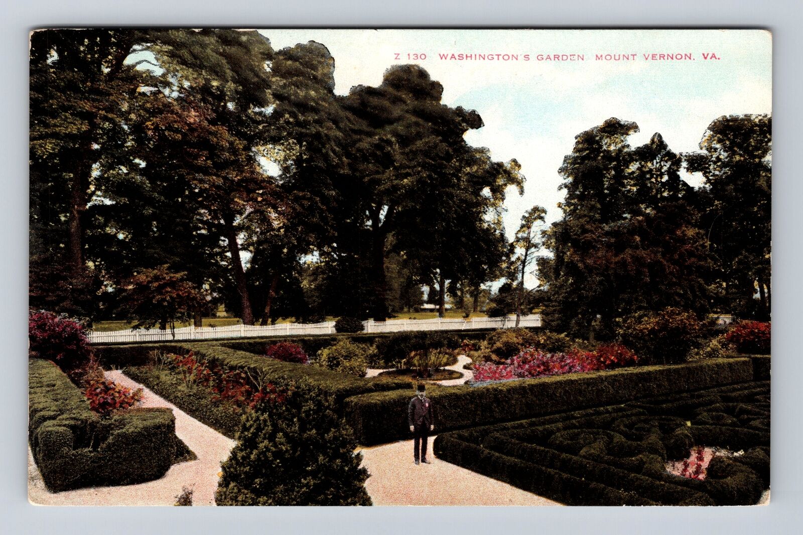 Mount Vernon VA-Virginia, Washington\'s Garden, Antique Vintage Souvenir Postcard