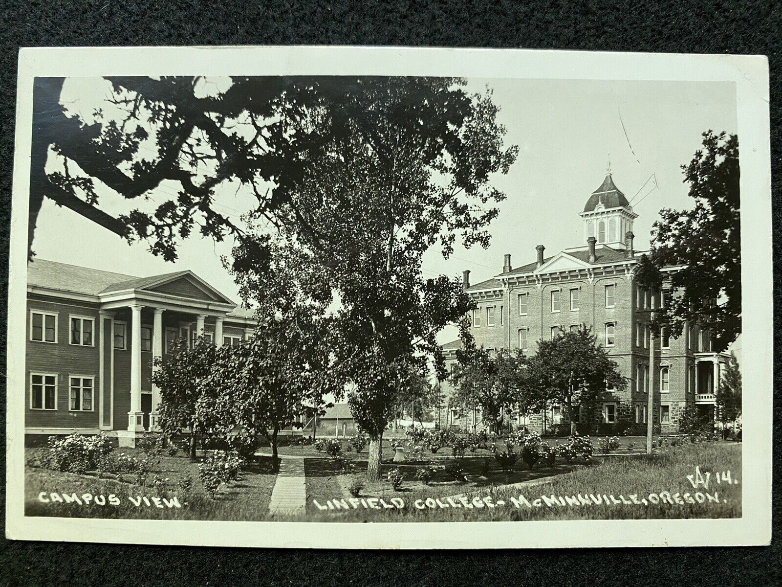 McMinnville Oregon OR Linfield College Campus 1946 Antique RPPC Photo Postcard