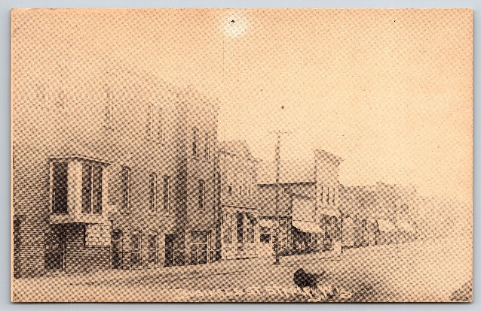 Stanley Wisconsin~Dog Crosses Main Street~Land Co Office~c1905 Postcard