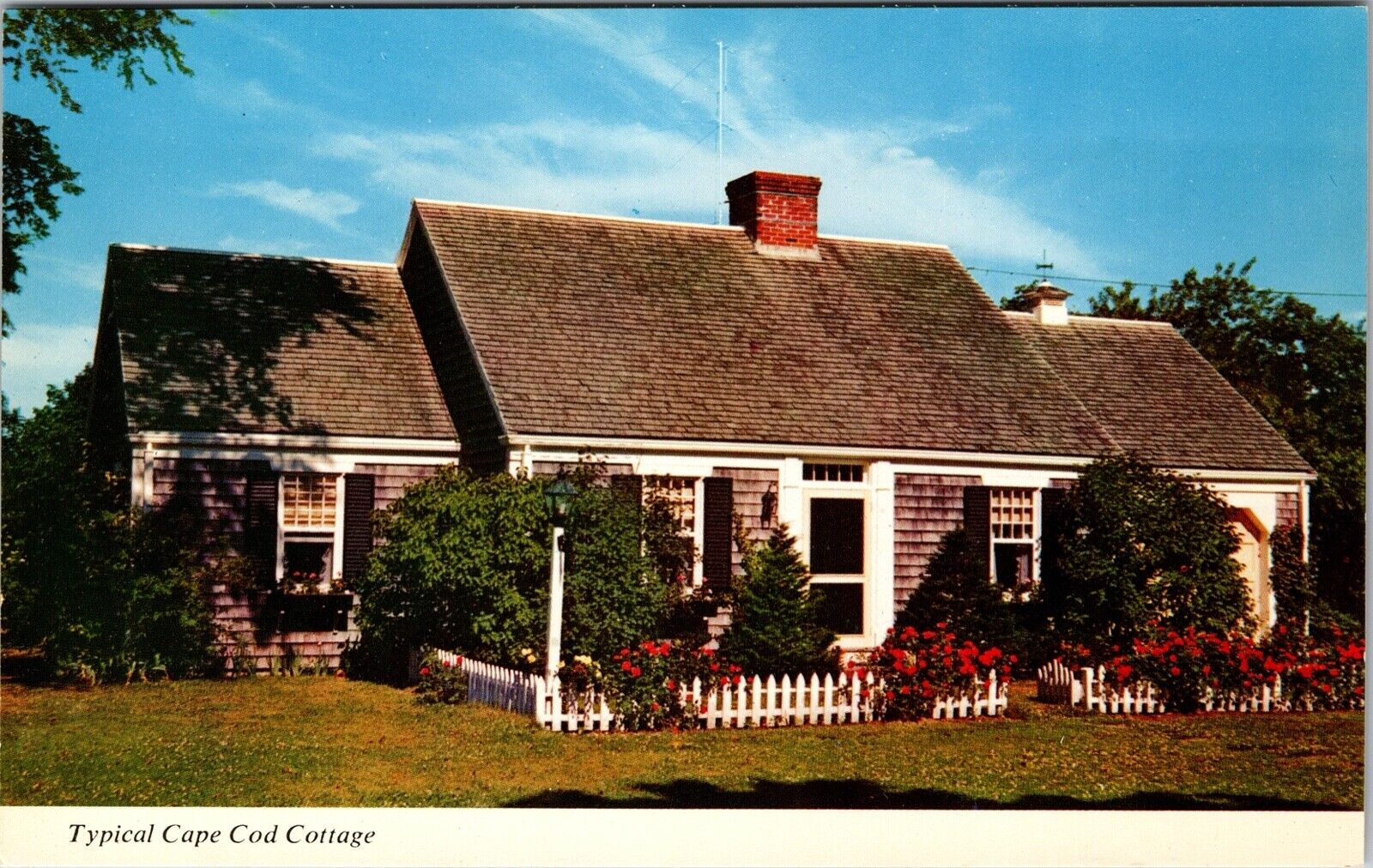 Typical Cape Cod Cottage Maine Vintage Postcard New England