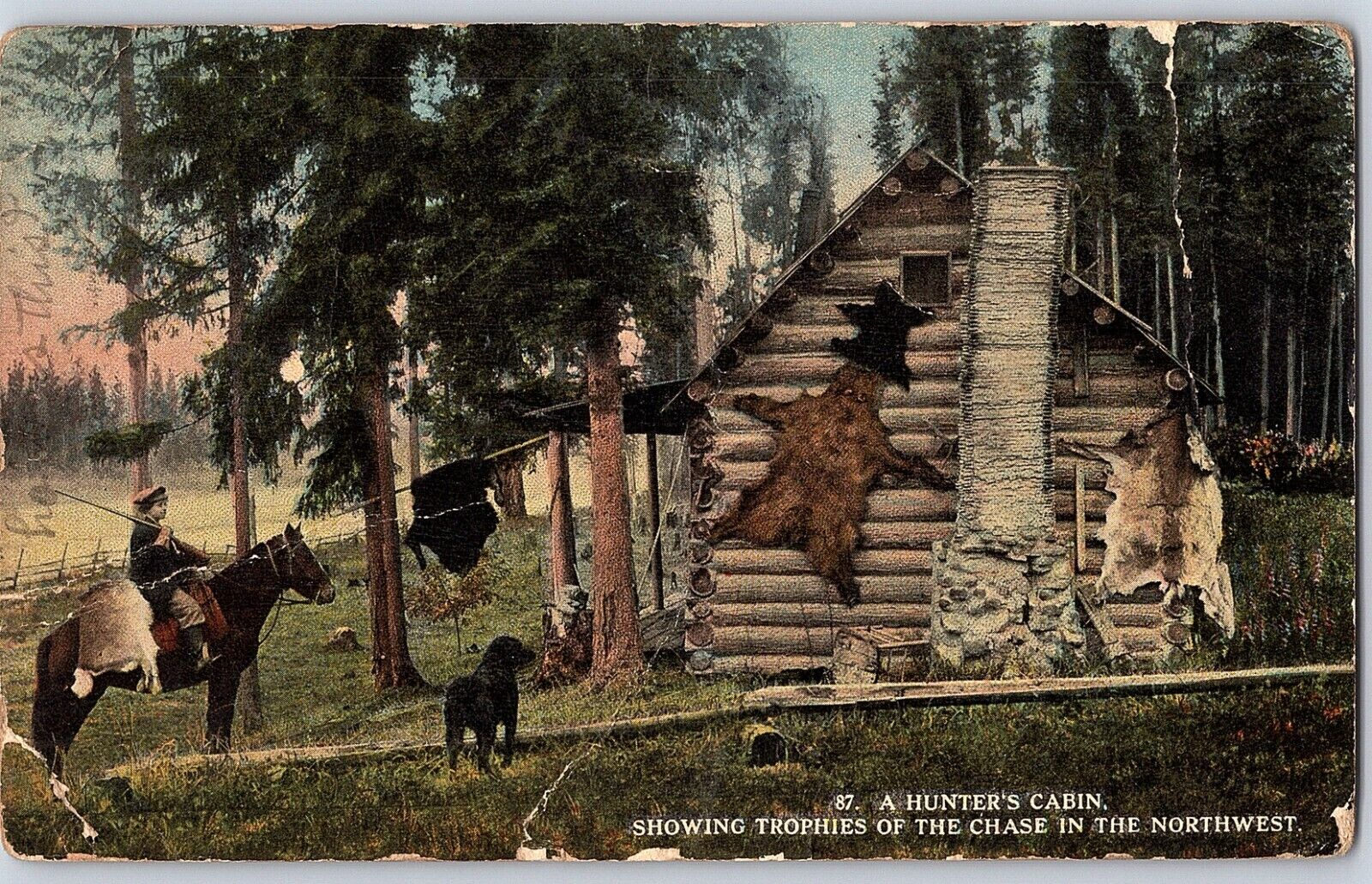 C1910 Postcard Hunters Log Cabin Furs Skins Trophies Bears Horseback Deer Gun