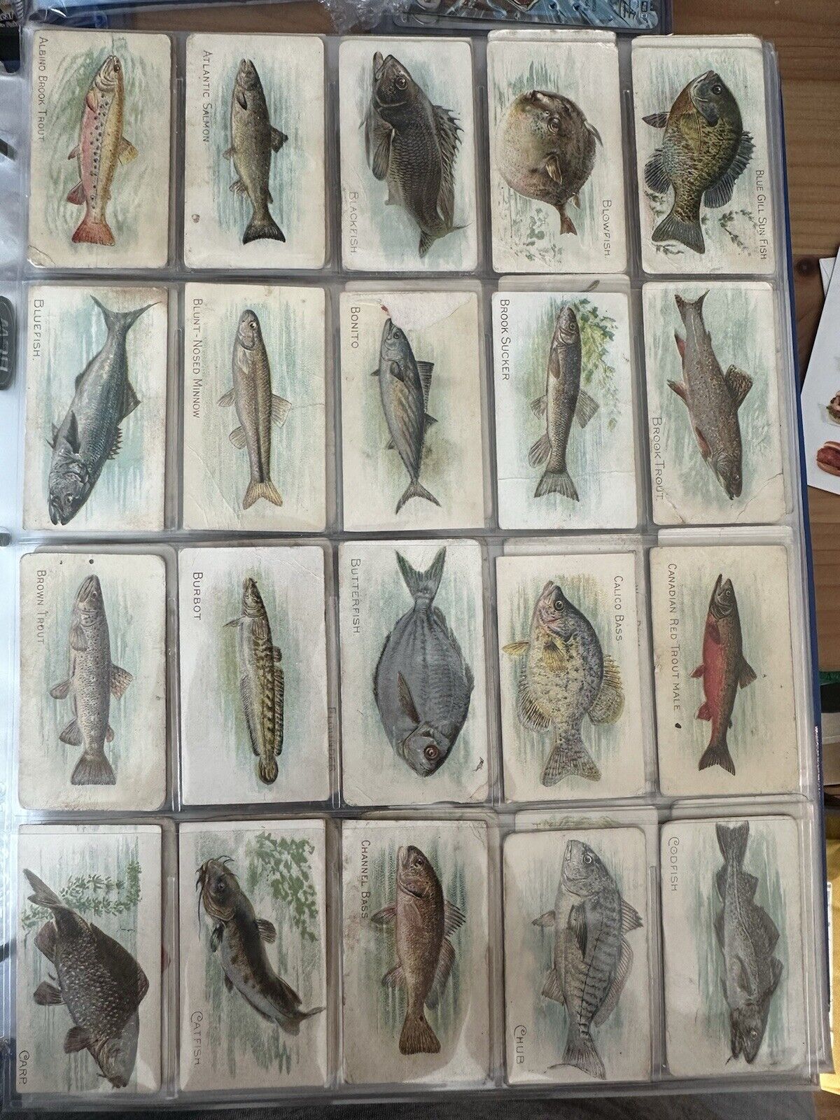 T58 Fish Series Complete Set Lower Grade W/2 Sovereign Backs