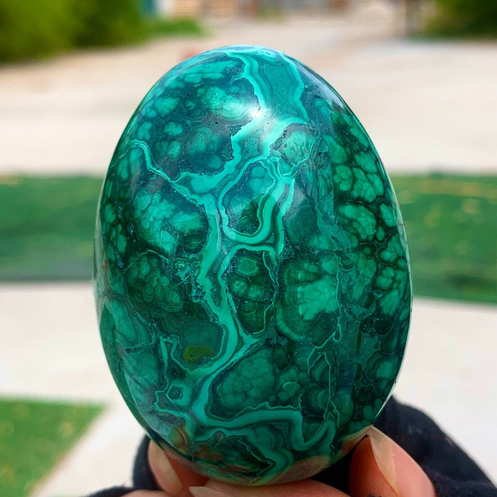 307G Natural glossy Malachite egg transparent cluster rough mineral sample