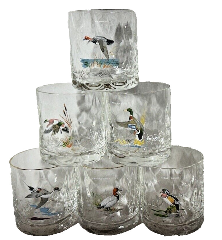 Set Of 6~Ned Smith~Waterfowl Ducks~Lowball Rock Glass~Old Fashion Tumblers~Vtg